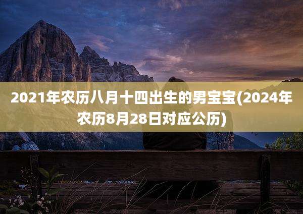 2021年农历八月十四出生的男宝宝(2024年农历8月28日对应公历)