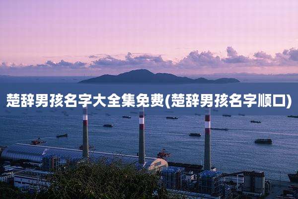 楚辞男孩名字大全集免费(楚辞男孩名字顺口)