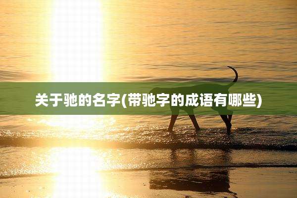 关于驰的名字(带驰字的成语有哪些)