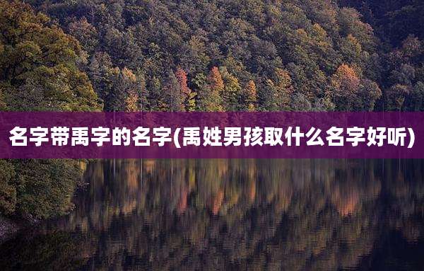 名字带禹字的名字(禹姓男孩取什么名字好听)