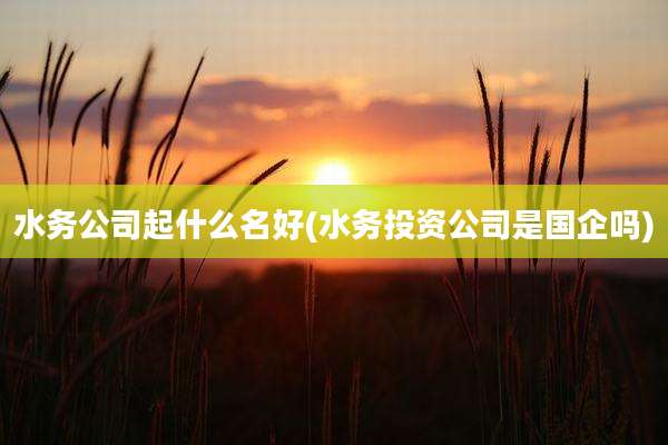 水务公司起什么名好(水务投资公司是国企吗)