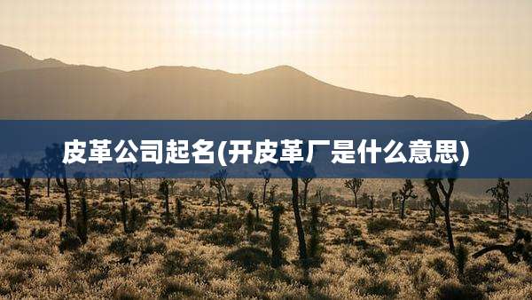 皮革公司起名(开皮革厂是什么意思)