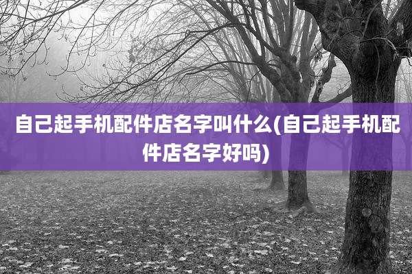 自己起手机配件店名字叫什么(自己起手机配件店名字好吗)