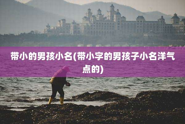 带小的男孩小名(带小字的男孩子小名洋气点的)