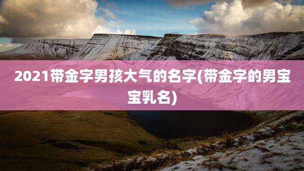 2021带金字男孩大气的名字(带金字的男宝宝乳名)
