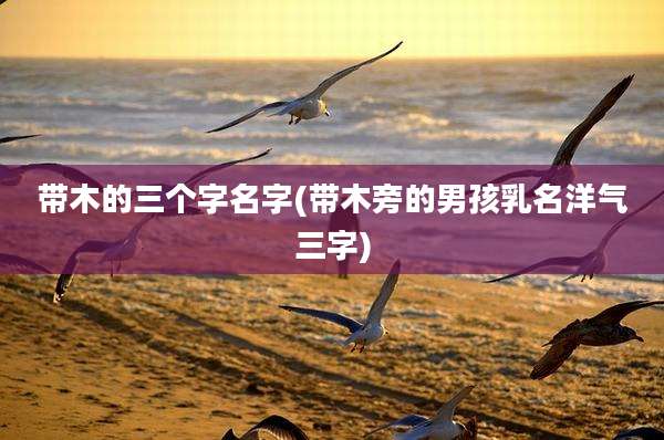 带木的三个字名字(带木旁的男孩乳名洋气三字)