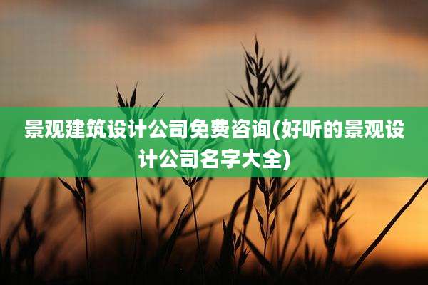 景观建筑设计公司免费咨询(好听的景观设计公司名字大全)