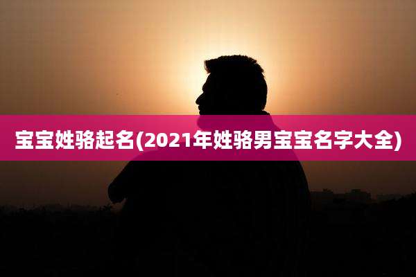 宝宝姓骆起名(2021年姓骆男宝宝名字大全)