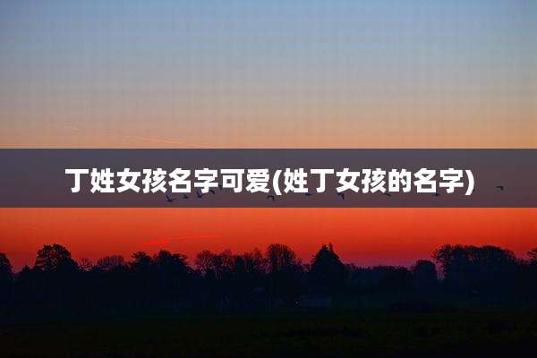 丁姓女孩名字可爱(姓丁女孩的名字)