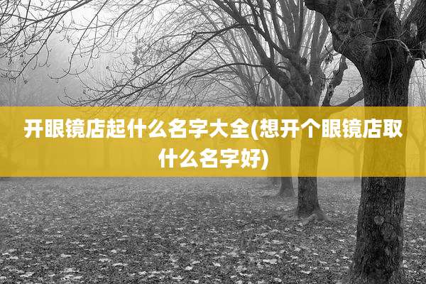 开眼镜店起什么名字大全(想开个眼镜店取什么名字好)