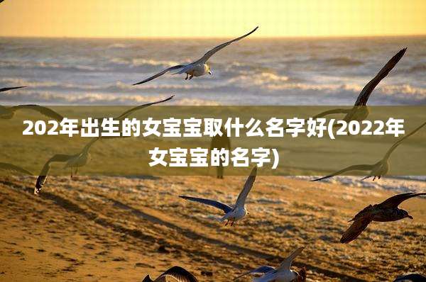 202年出生的女宝宝取什么名字好(2022年女宝宝的名字)