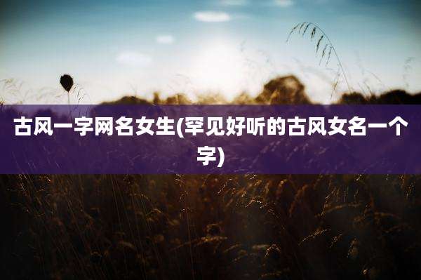 古风一字网名女生(罕见好听的古风女名一个字)