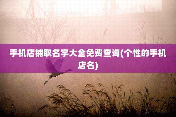 手机店铺取名字大全免费查询(个性的手机店名)