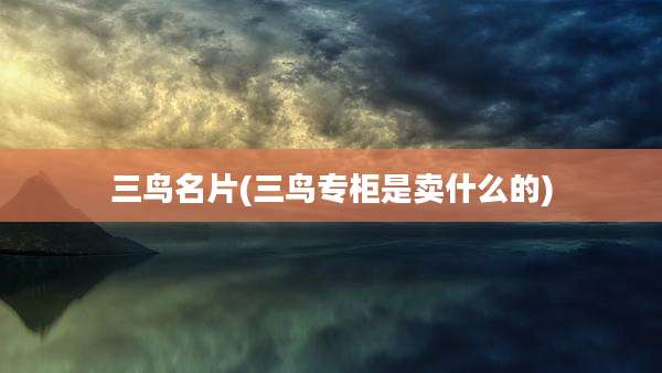 三鸟名片(三鸟专柜是卖什么的)
