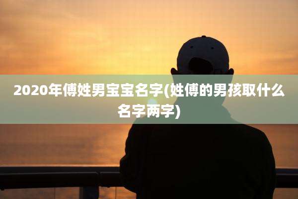 2020年傅姓男宝宝名字(姓傅的男孩取什么名字两字)