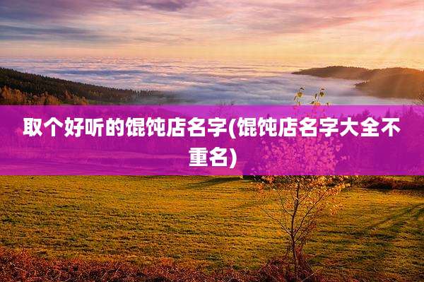 取个好听的馄饨店名字(馄饨店名字大全不重名)