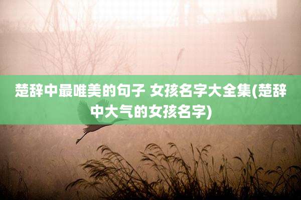 楚辞中最唯美的句子 女孩名字大全集(楚辞中大气的女孩名字)