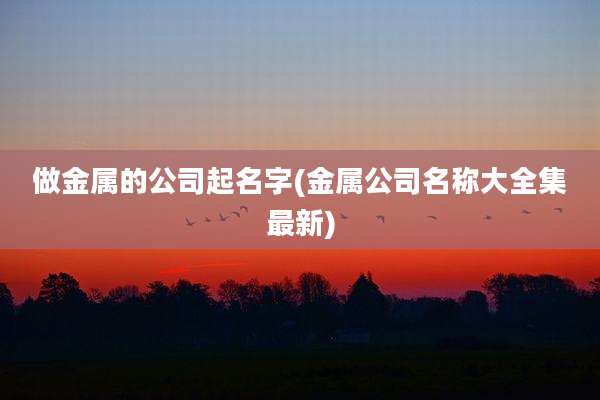 做金属的公司起名字(金属公司名称大全集最新)