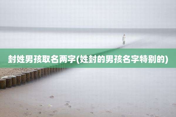 封姓男孩取名两字(姓封的男孩名字特别的)