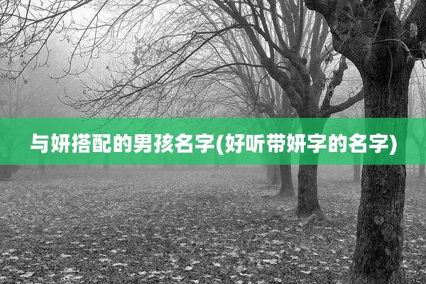 与妍搭配的男孩名字(好听带妍字的名字)