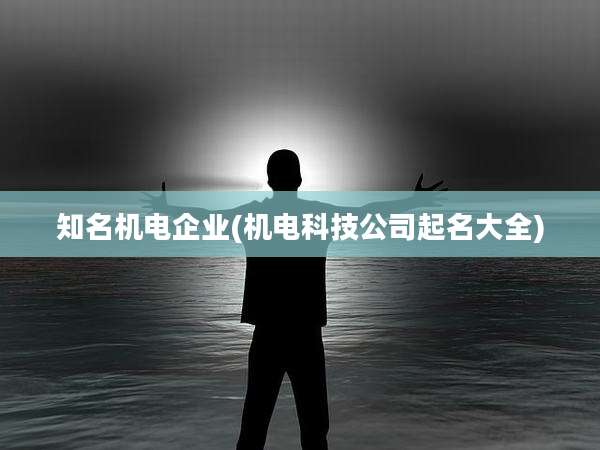 知名机电企业(机电科技公司起名大全)