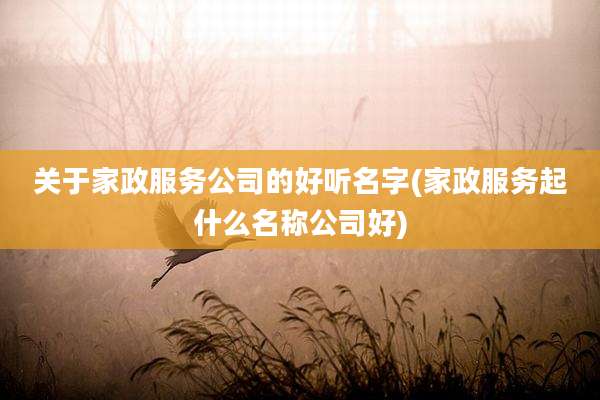 关于家政服务公司的好听名字(家政服务起什么名称公司好)
