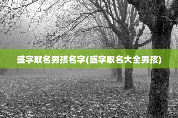 盛字取名男孩名字(盛字取名大全男孩)