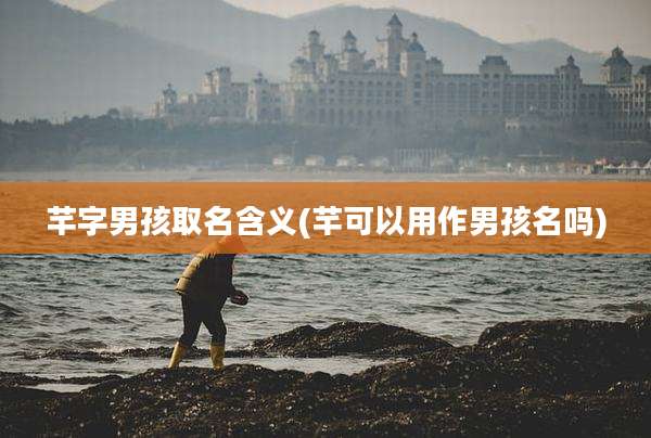 芊字男孩取名含义(芊可以用作男孩名吗)