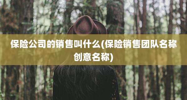 保险公司的销售叫什么(保险销售团队名称创意名称)
