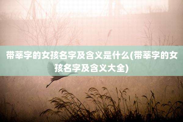 带莘字的女孩名字及含义是什么(带莘字的女孩名字及含义大全)