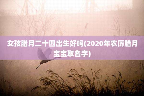 女孩腊月二十四出生好吗(2020年农历腊月宝宝取名字)