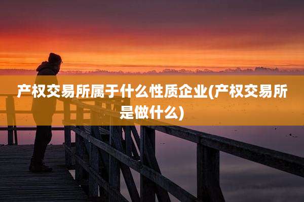产权交易所属于什么性质企业(产权交易所是做什么)