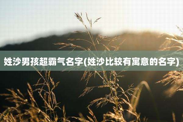 姓沙男孩超霸气名字(姓***较有寓意的名字)