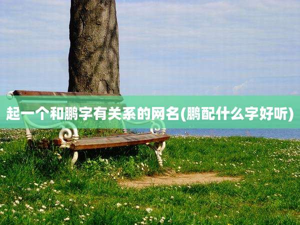 起一个和鹏字有关系的网名(鹏配什么字好听)