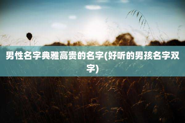 男性名字典雅高贵的名字(好听的男孩名字双字)