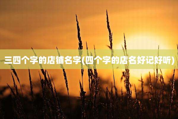 三四个字的店铺名字(四个字的店名好记好听)