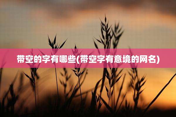 带空的字有哪些(带空字有意境的网名)