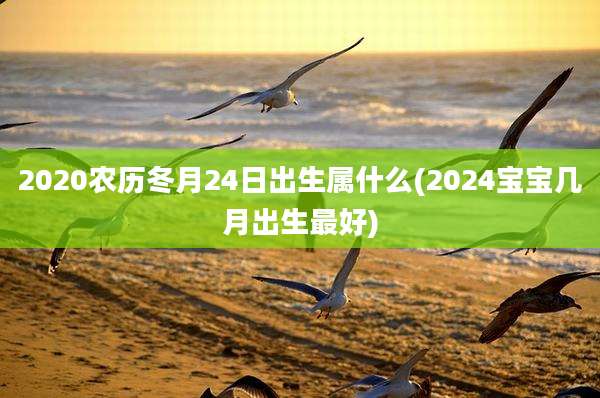 2020农历冬月24日出生属什么(2024宝宝几月出生最好)