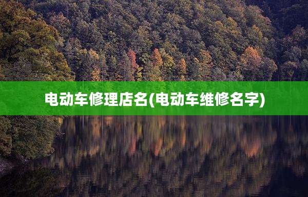 电动车修理店名(电动车维修名字)
