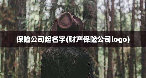 保险公司起名字(财产保险公司logo)