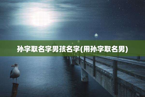 孙字取名字男孩名字(用孙字取名男)
