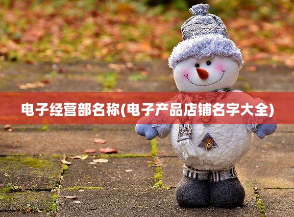 电子经营部名称(电子产品店铺名字大全)