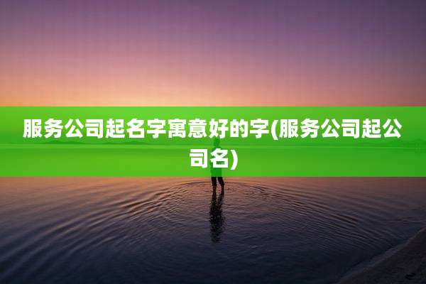 服务公司起名字寓意好的字(服务公司起公司名)