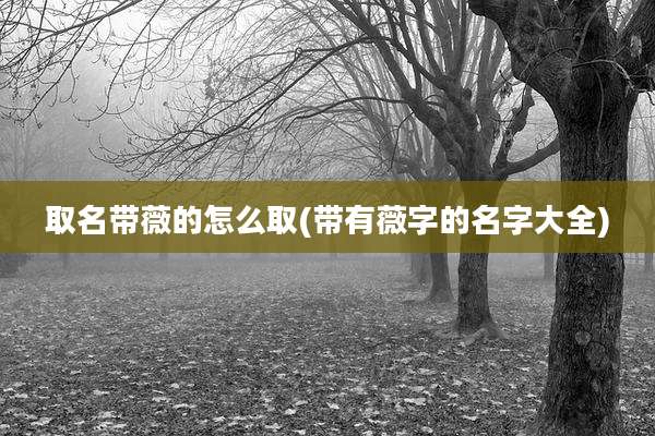 取名带薇的怎么取(带有薇字的名字大全)