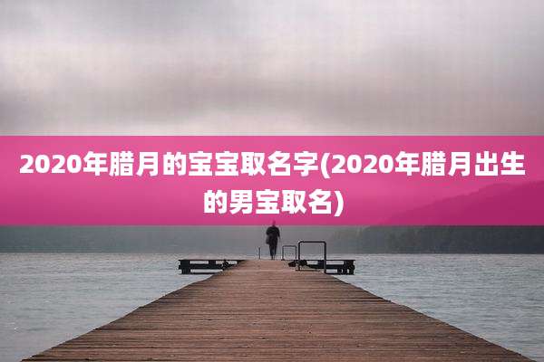 2020年腊月的宝宝取名字(2020年腊月出生的男宝取名)