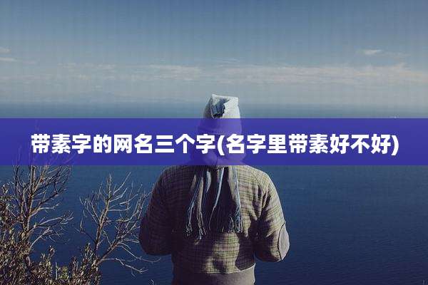 带素字的网名三个字(名字里带素好不好)