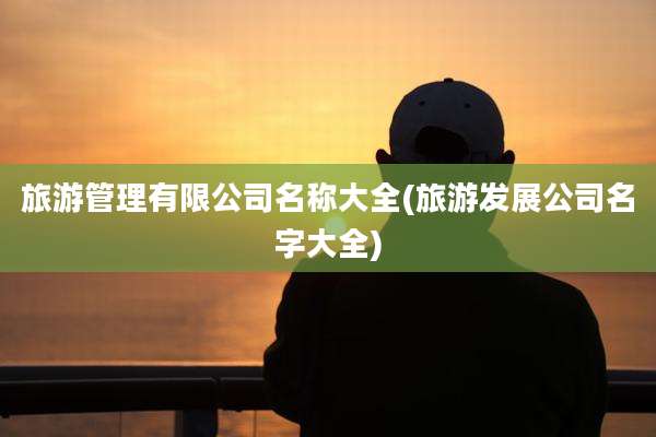 旅游管理有限公司名称大全(旅游发展公司名字大全)