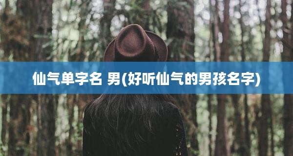 仙气单字名 男(好听仙气的男孩名字)