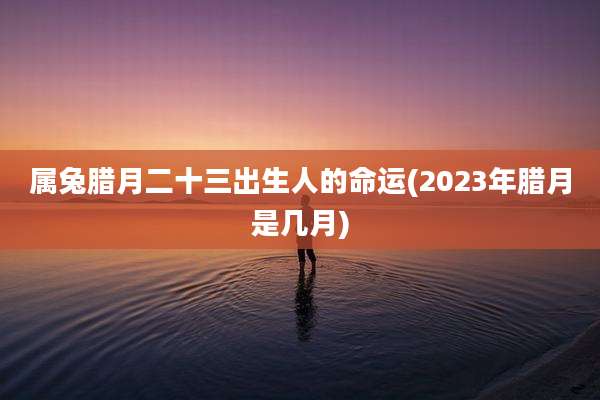属兔腊月二十三出生人的命运(2023年腊月是几月)