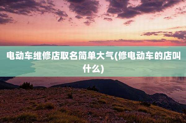 电动车维修店取名简单大气(修电动车的店叫什么)